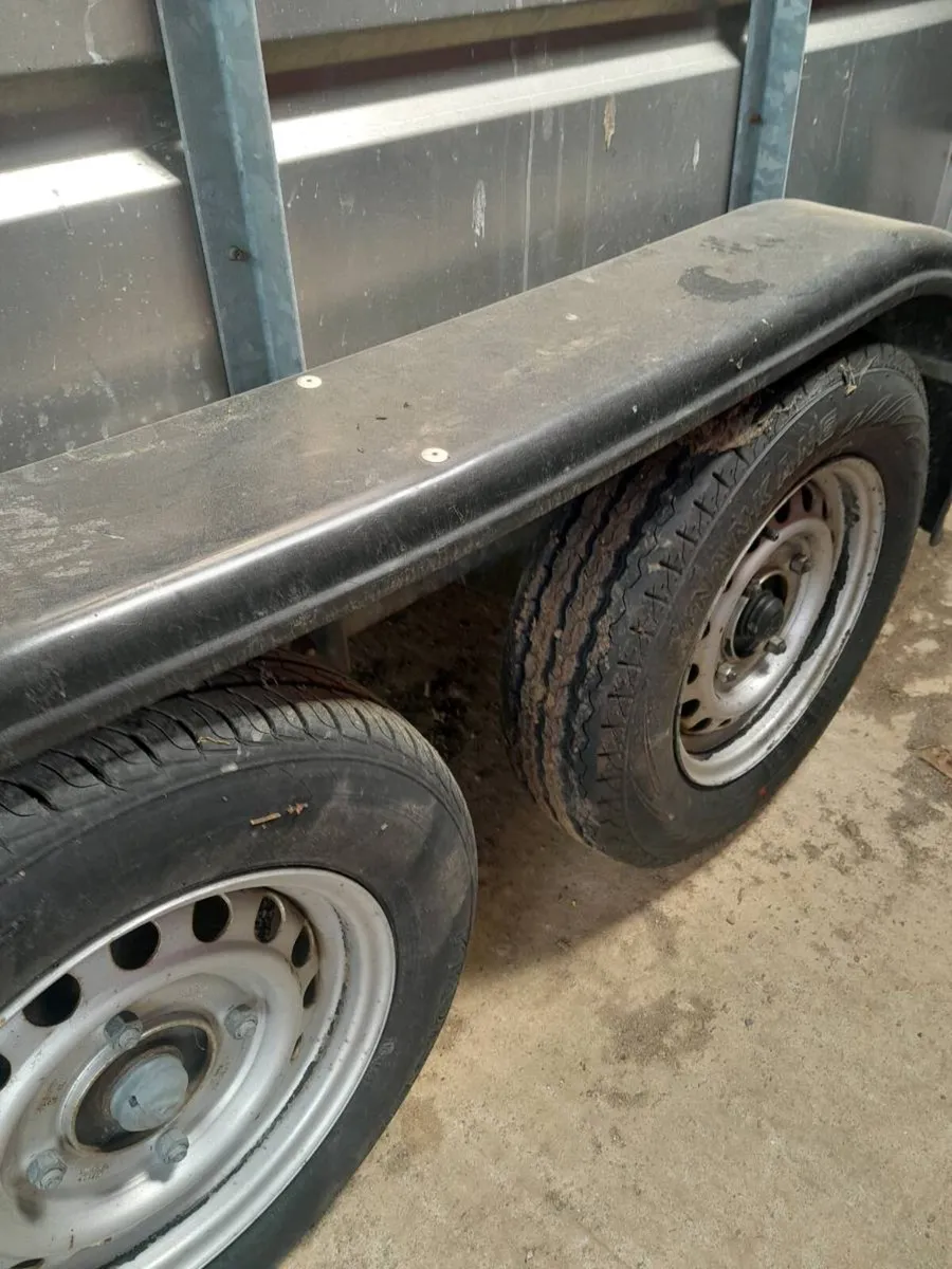 Cattle trailer - Image 4