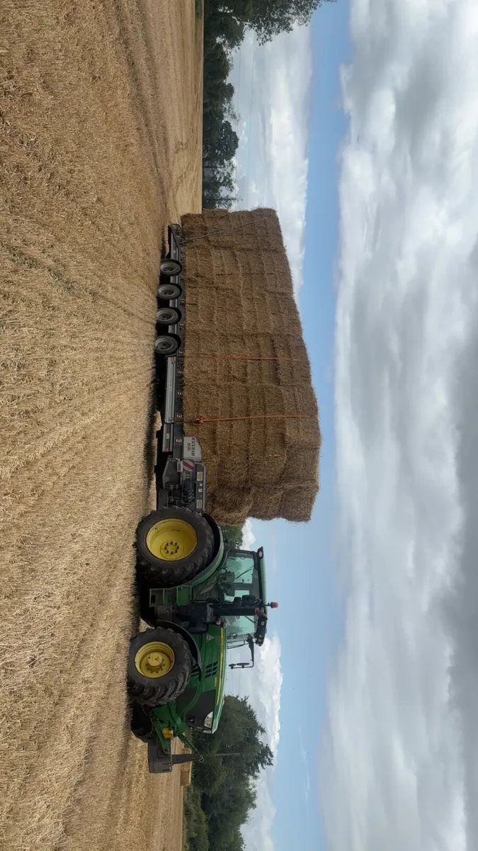 Straw - Image 2