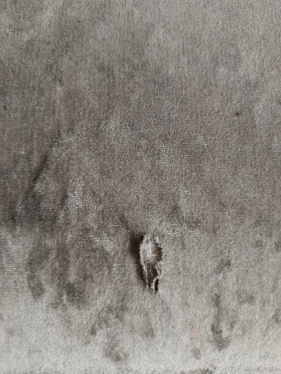 Soda - Image 2