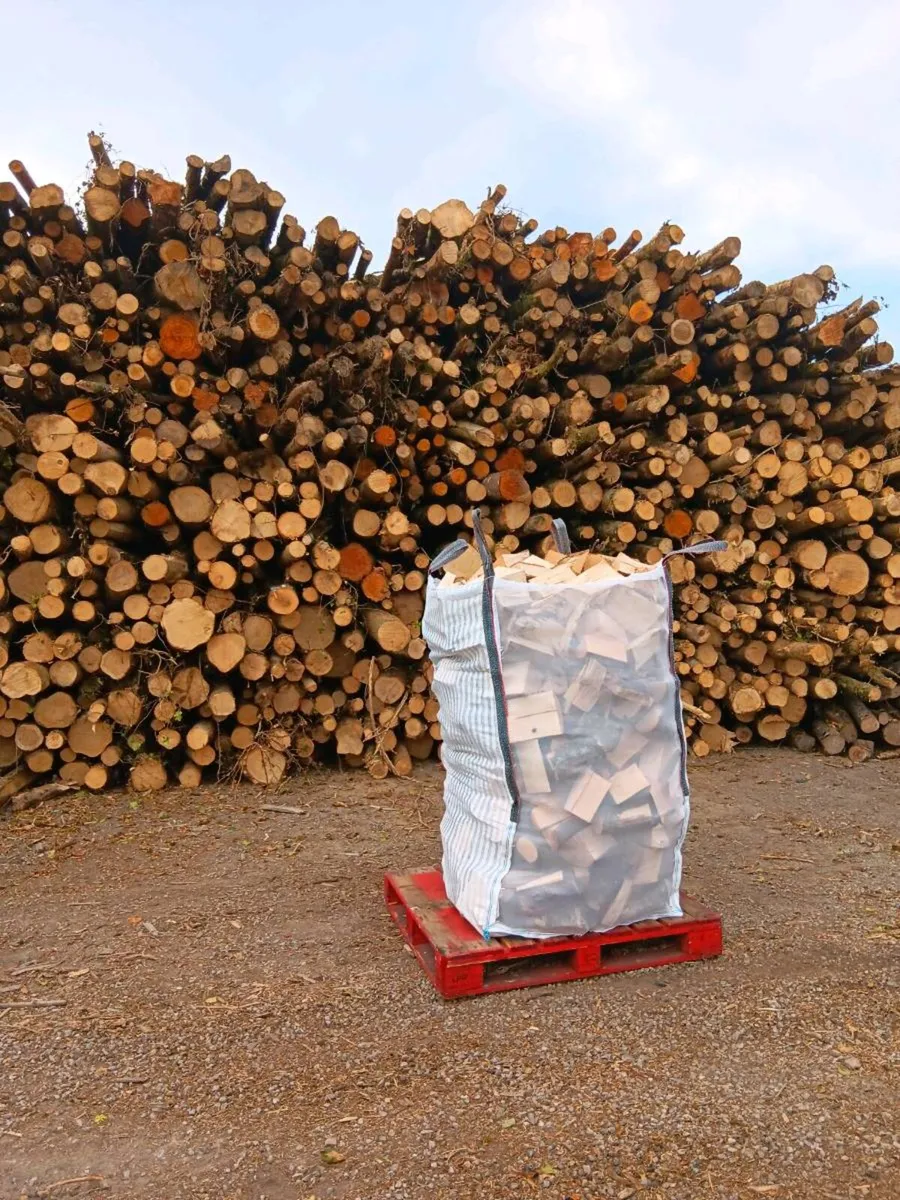 DRY ASH Firewood - Image 2