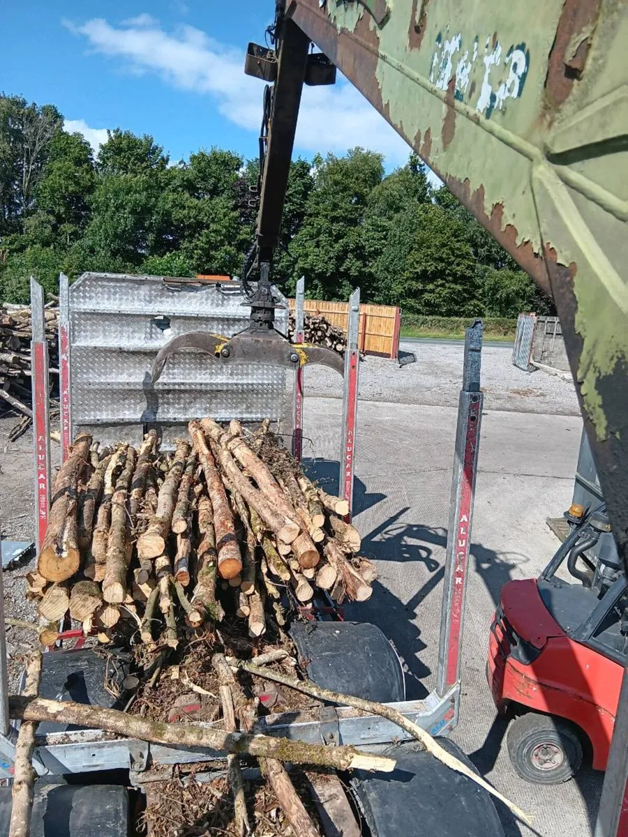 DRY ASH Firewood - Image 4