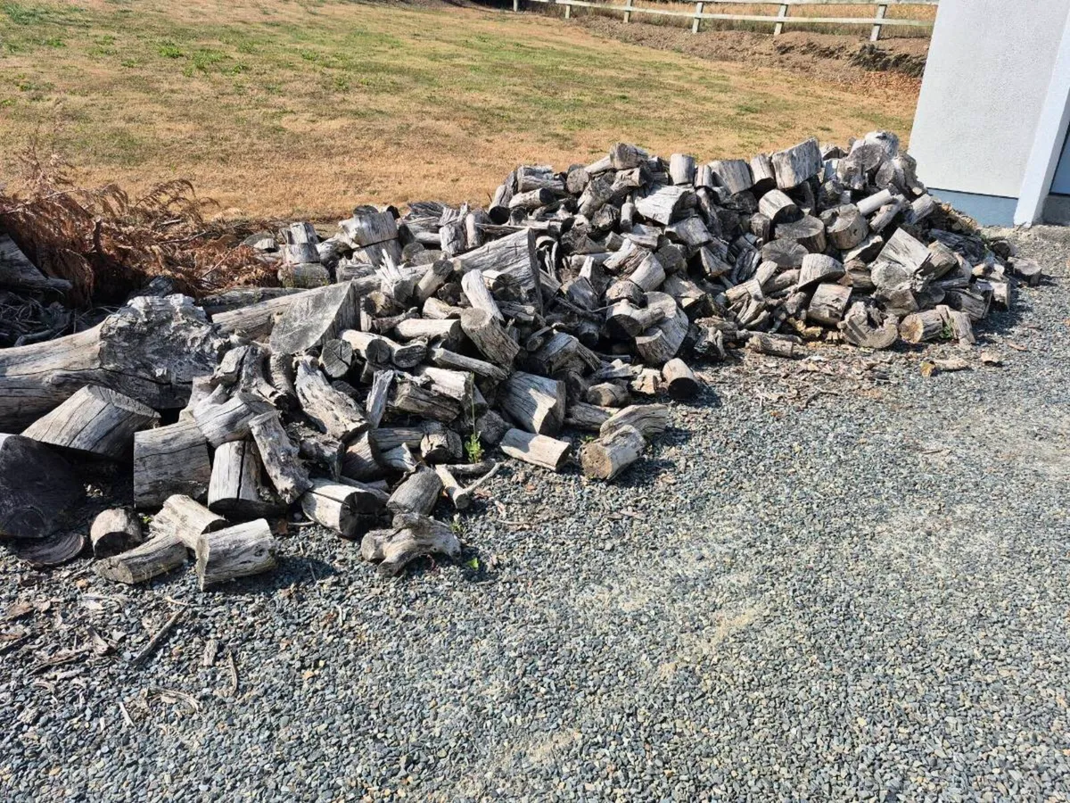 Large pile of seasoned mixed firewood - Image 1
