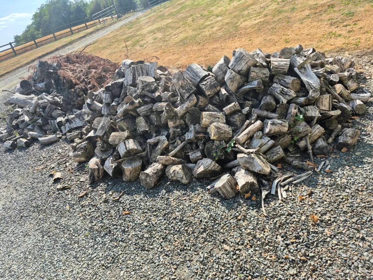 Large pile of seasoned mixed firewood - Image 2