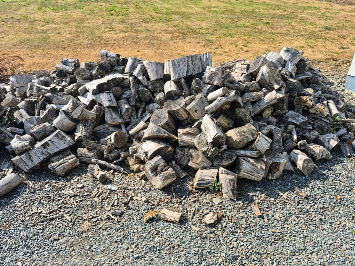 Large pile of seasoned mixed firewood - Image 3