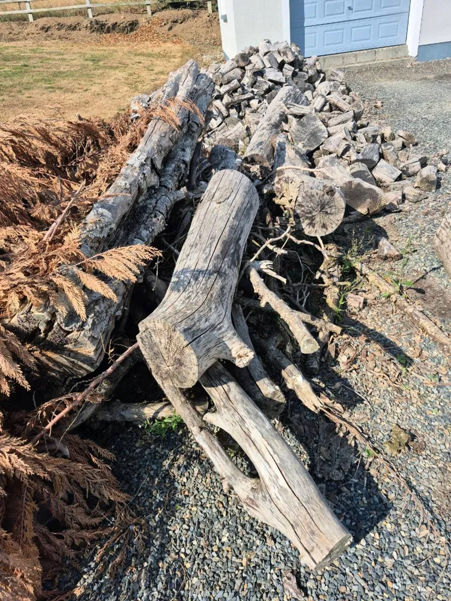 Large pile of seasoned mixed firewood - Image 4
