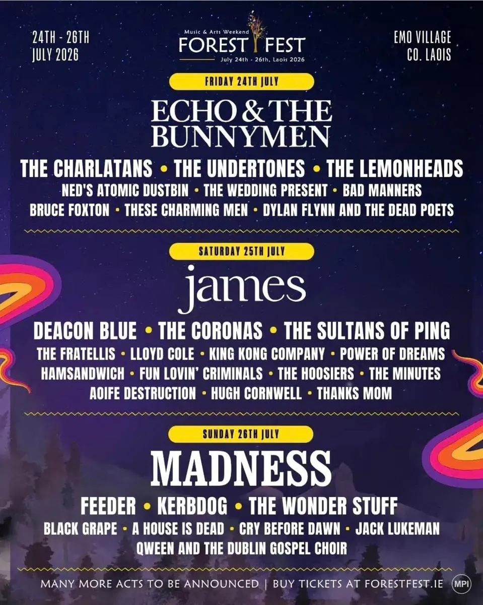 Forest fest weekend pass x1, reduced €175 - Image 1