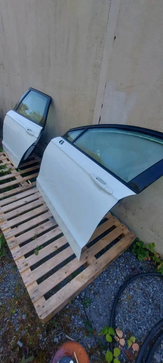 Car doors - Image 1