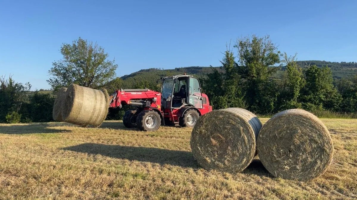 Horse/sheep hay