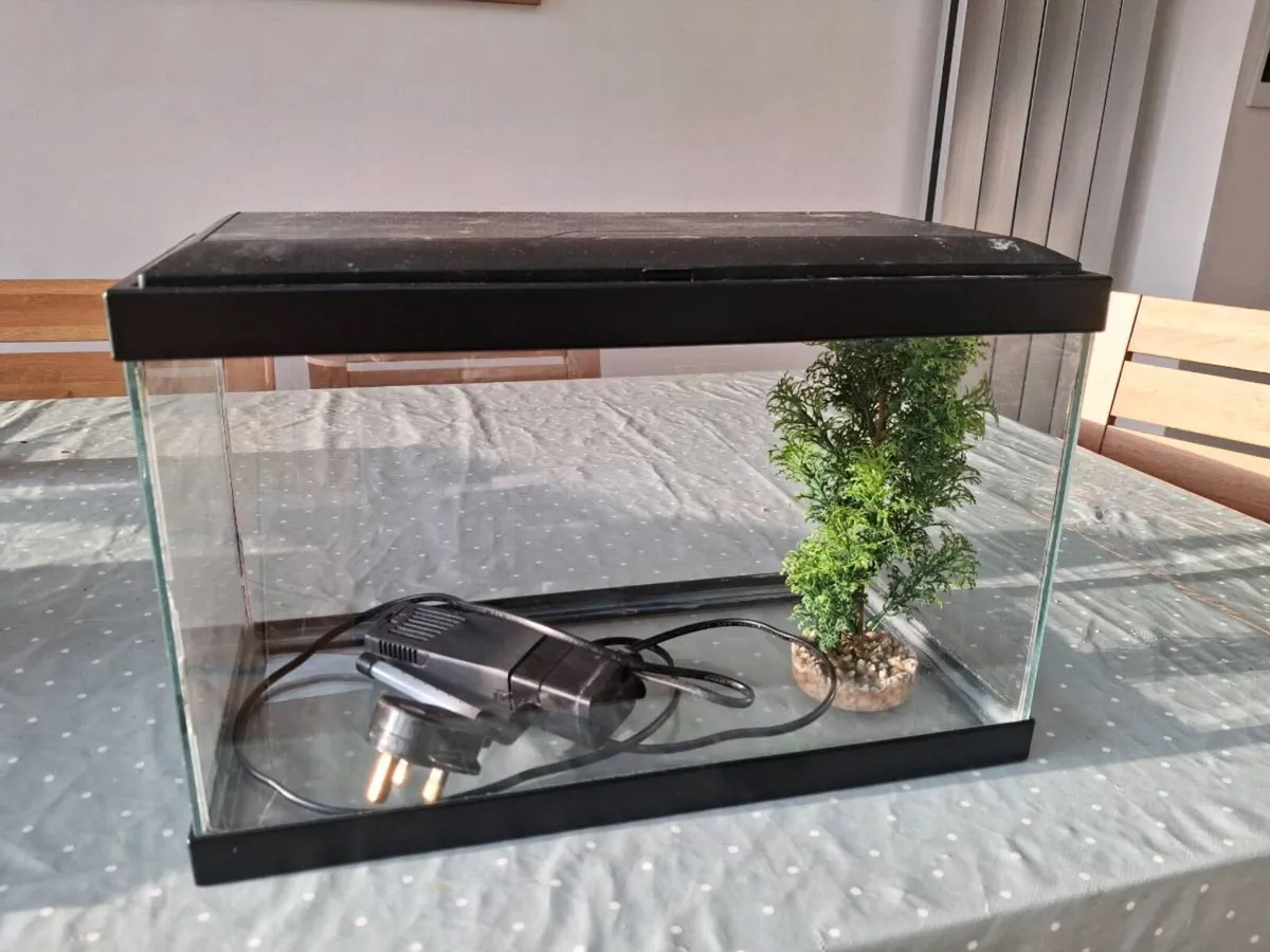 Fish tank - Image 1