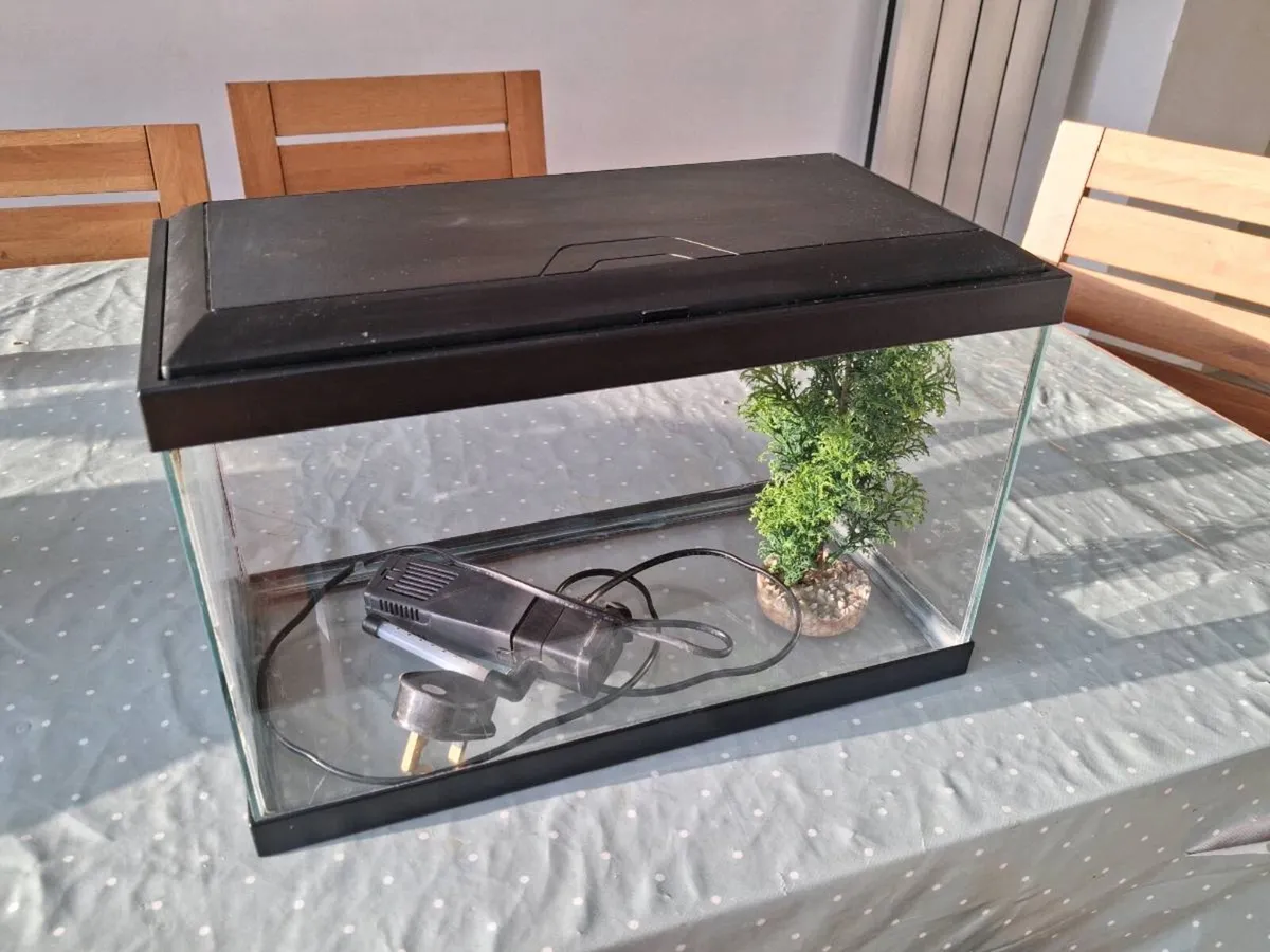 Fish tank - Image 2