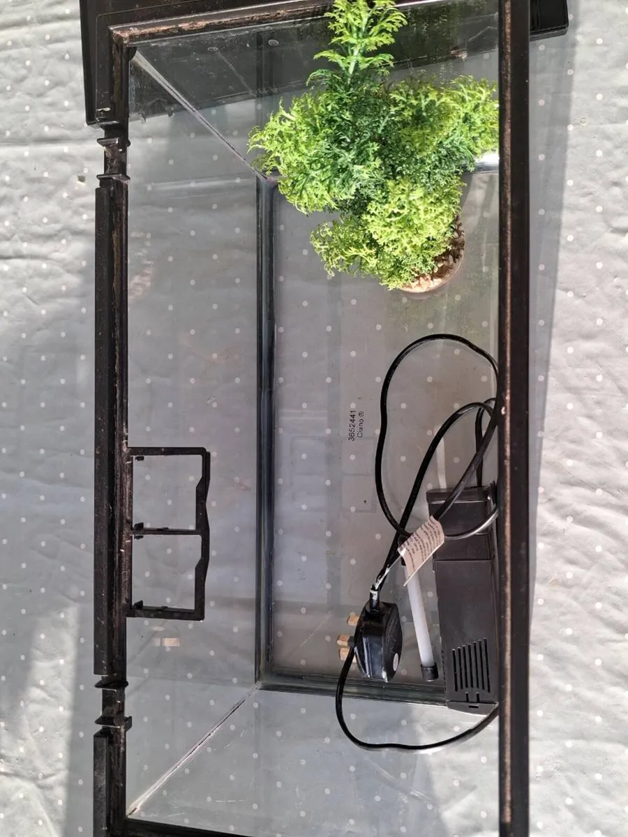 Fish tank - Image 4