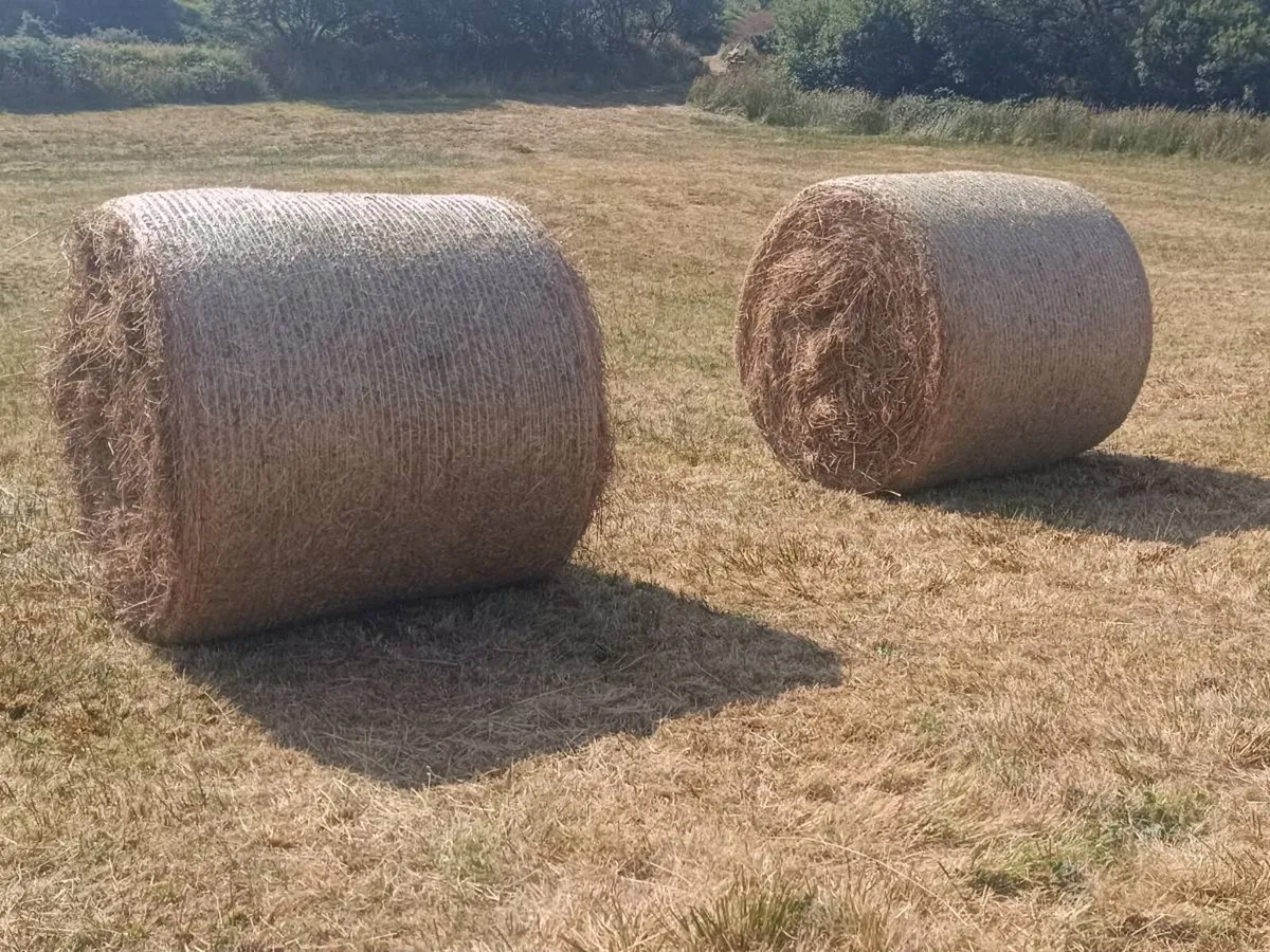 27 x Round Bales of coarse hay. - Image 2