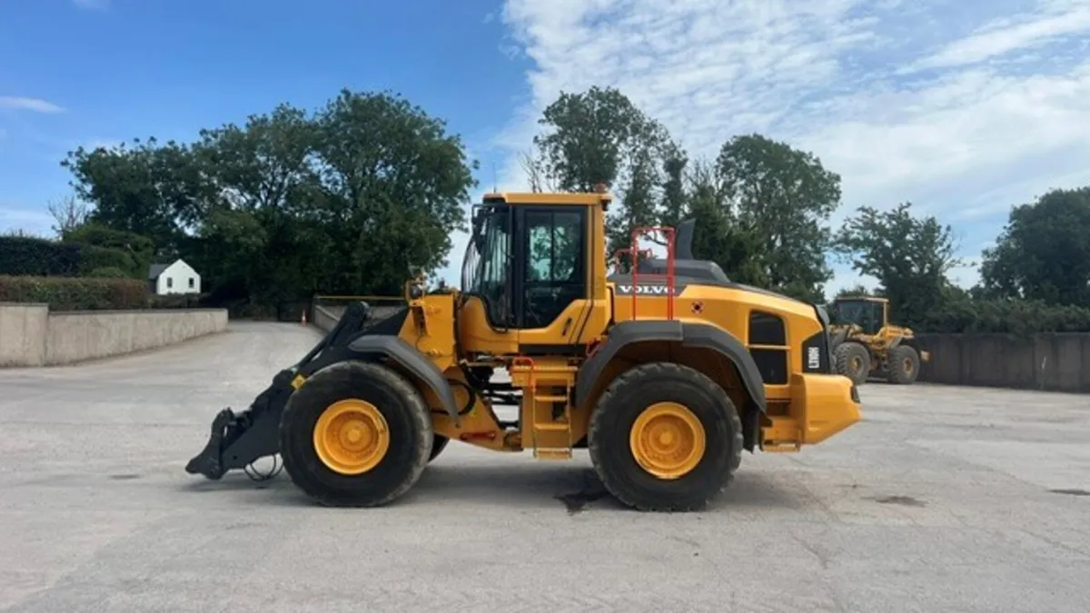 2018 Volvo L 110 H - Image 1