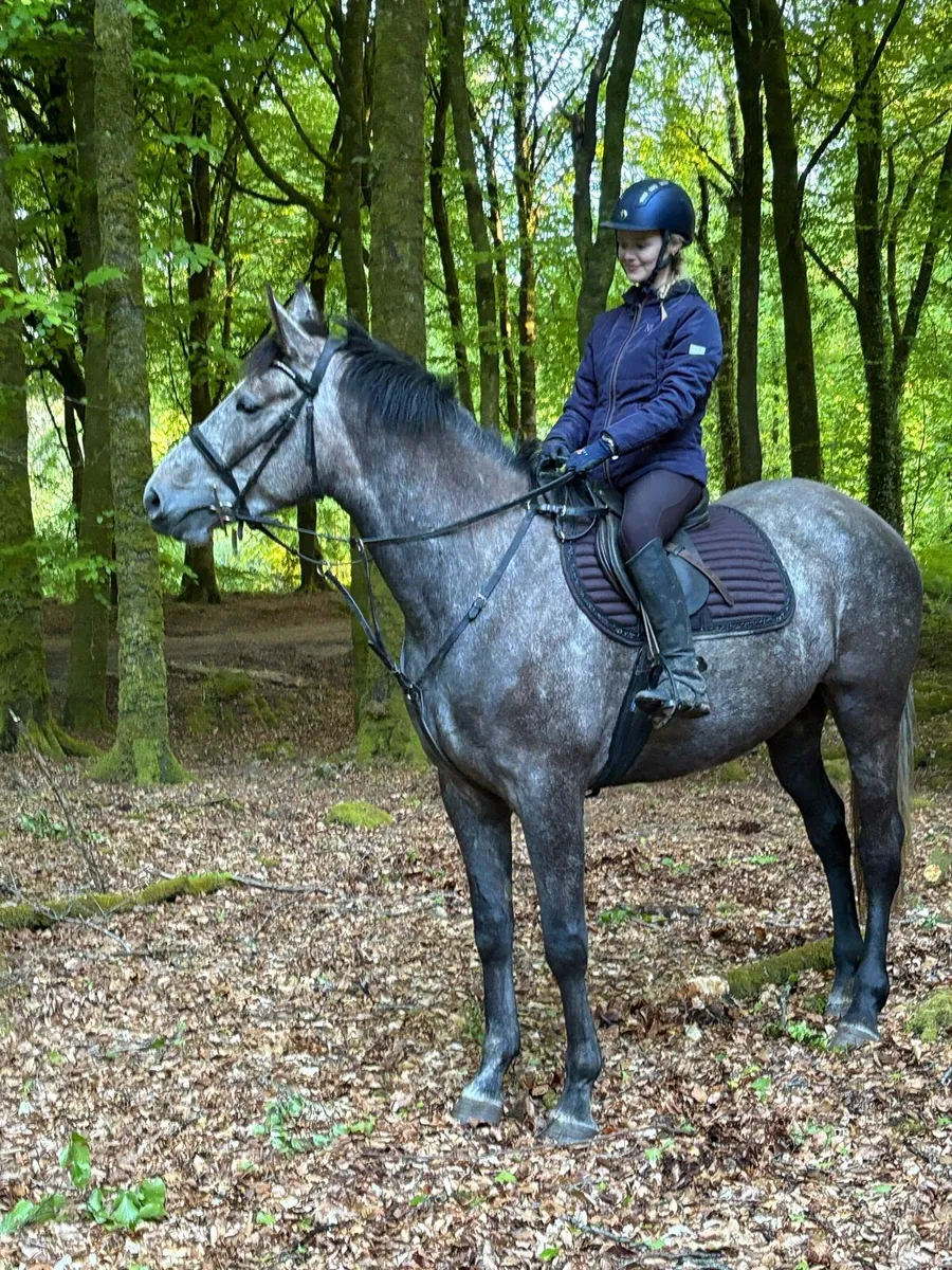 Traditional Irish mare - Image 1