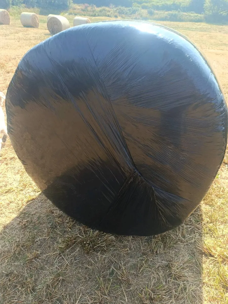 27 x Hay Round Bales for sale - Image 2