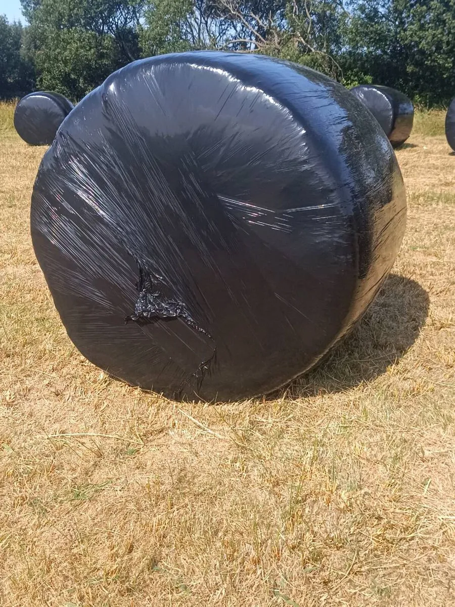 27 x Hay Round Bales for sale - Image 3