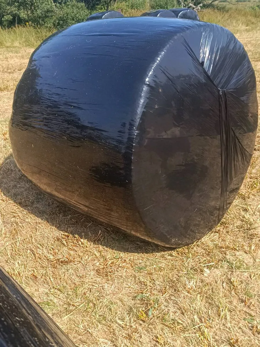 27 x Hay Round Bales for sale - Image 4