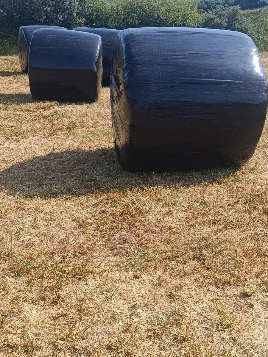 27 x Hay Round Bales for sale - Image 1