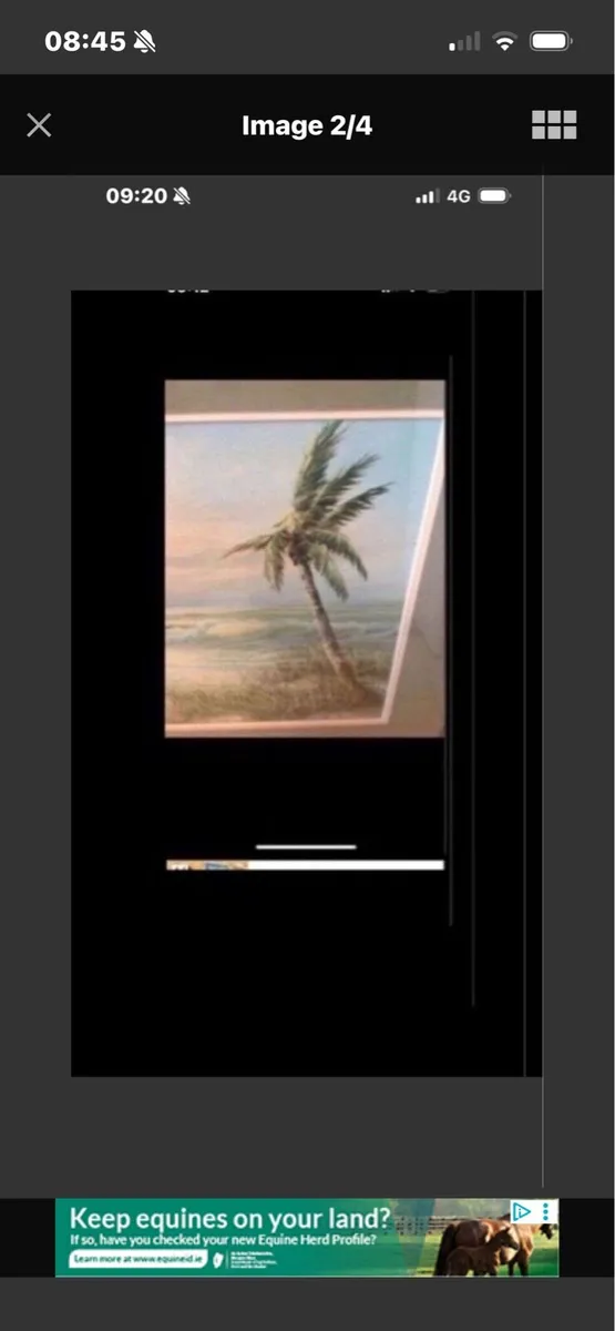Original Florida Painting - Image 2