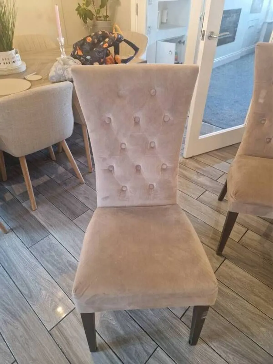 Dining chairs - Image 2