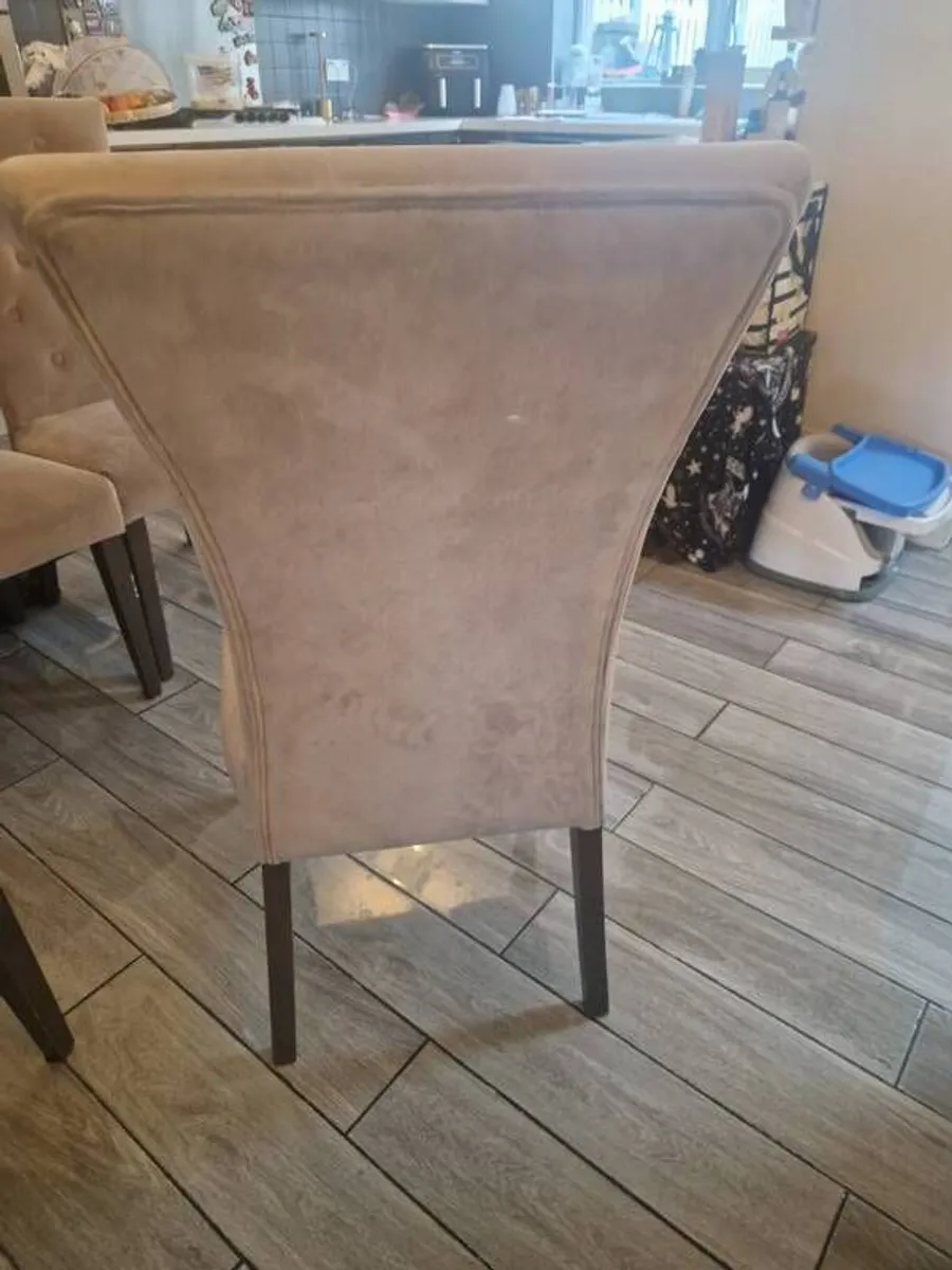 Dining chairs - Image 4