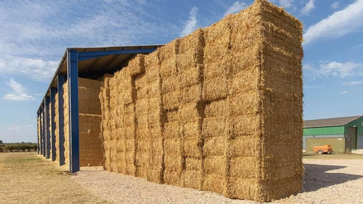 Straw