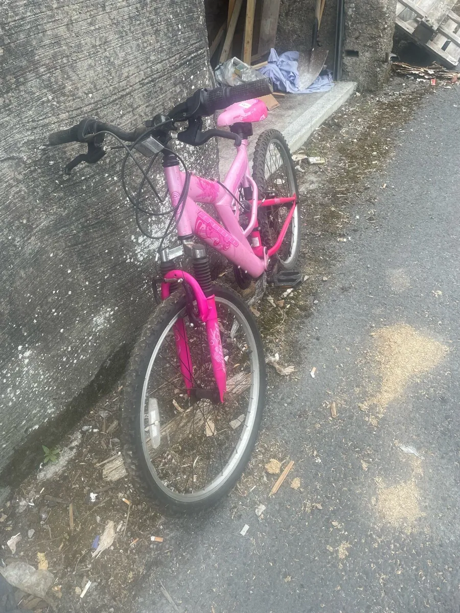 Bicycle - Image 2
