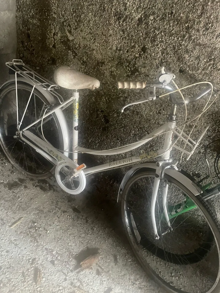 Bicycle - Image 1