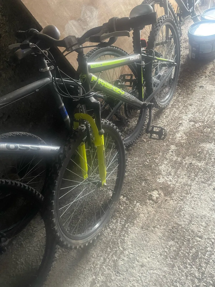 Bicycle - Image 1