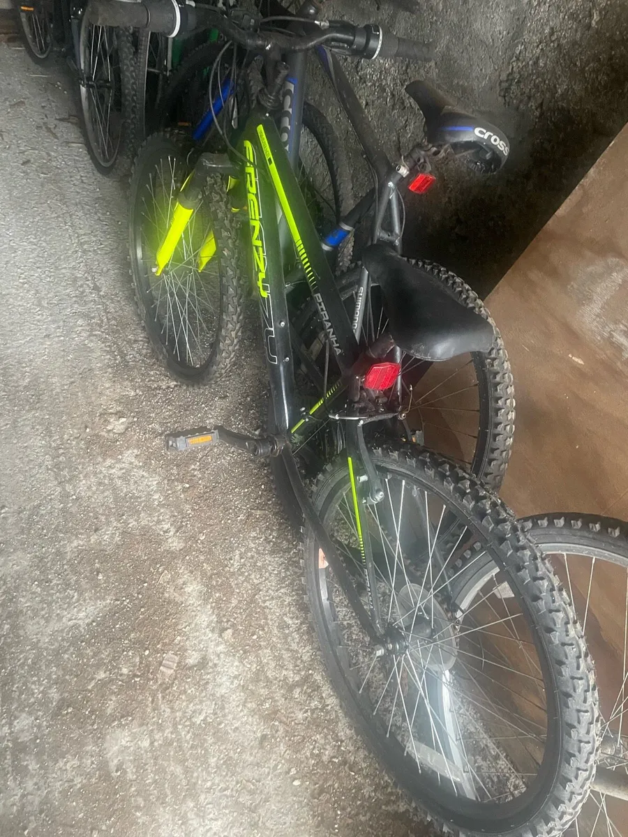 Bicycle - Image 3