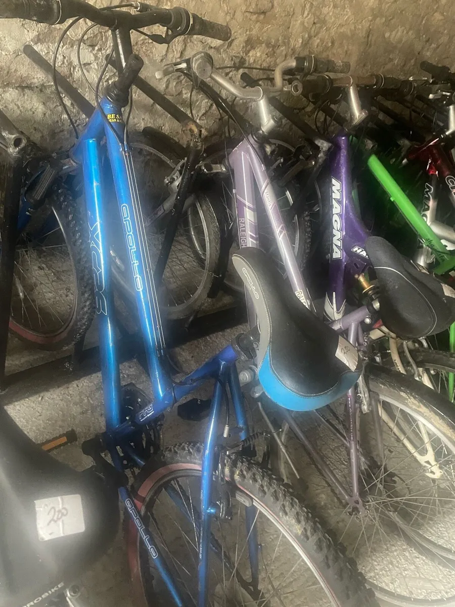 Bicycle - Image 1