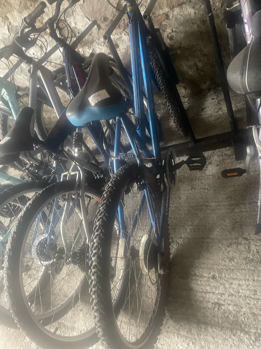 Bicycle - Image 2