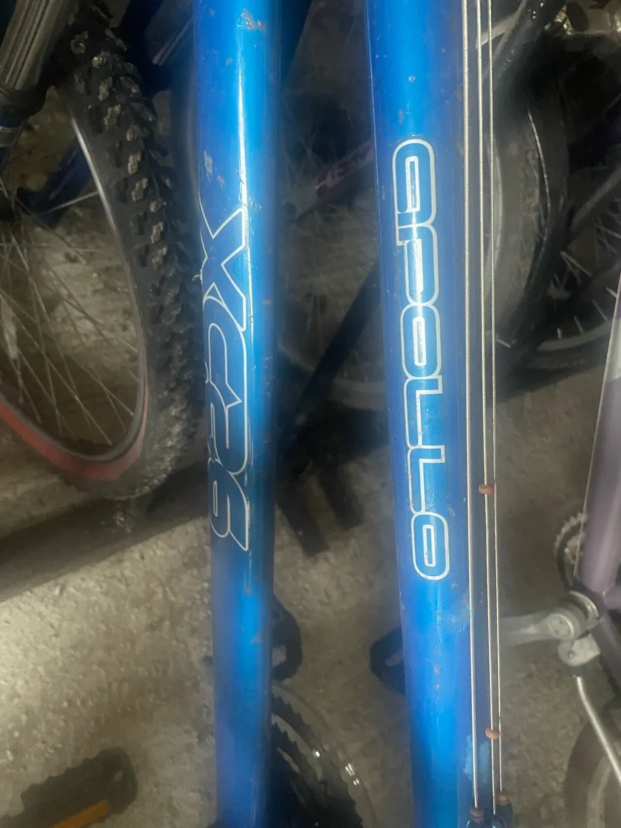 Bicycle - Image 4