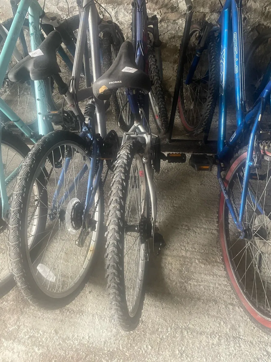 Bicycle - Image 3