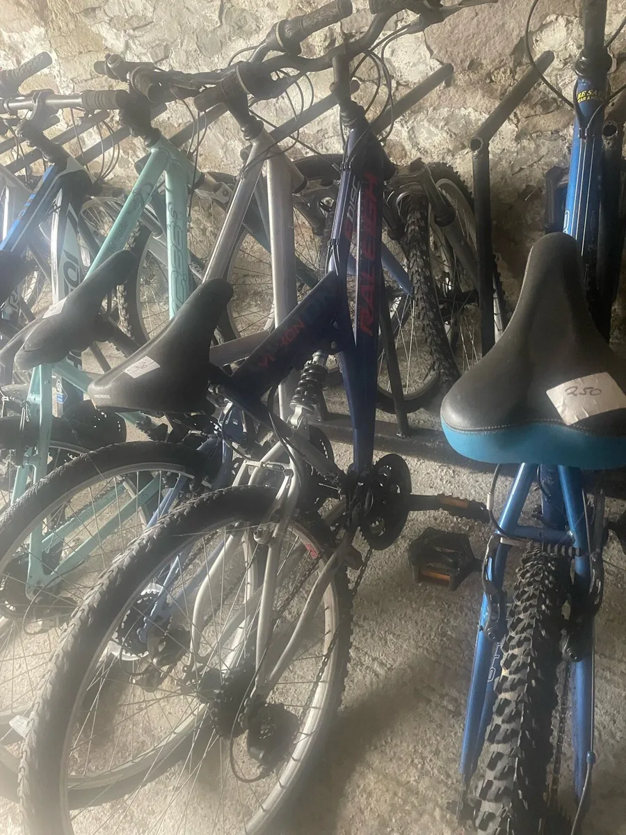Bicycle - Image 1