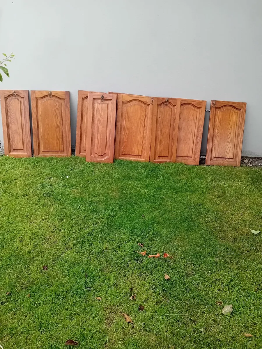 Kitchens doors