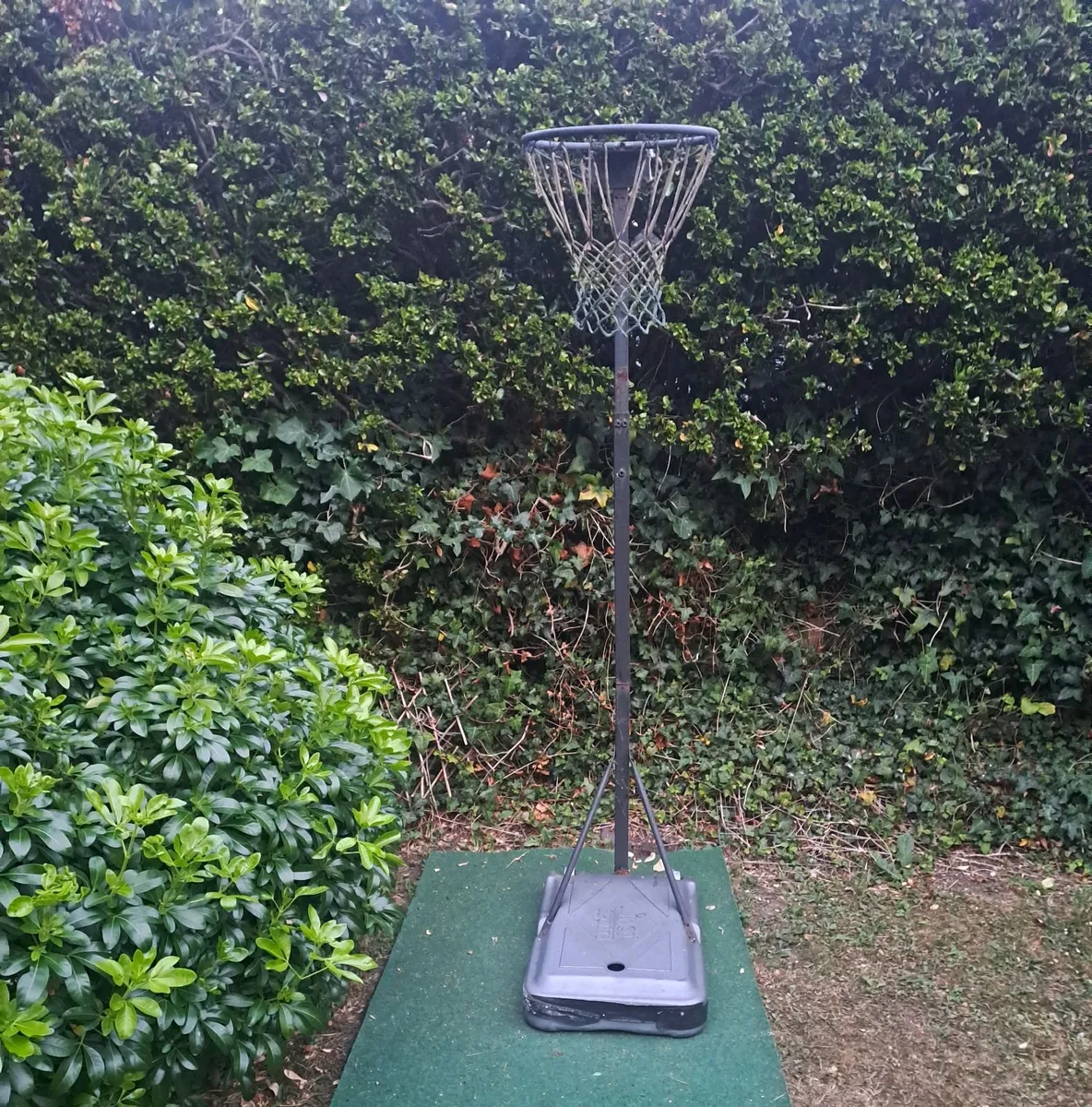 FREE Basketball Hoop