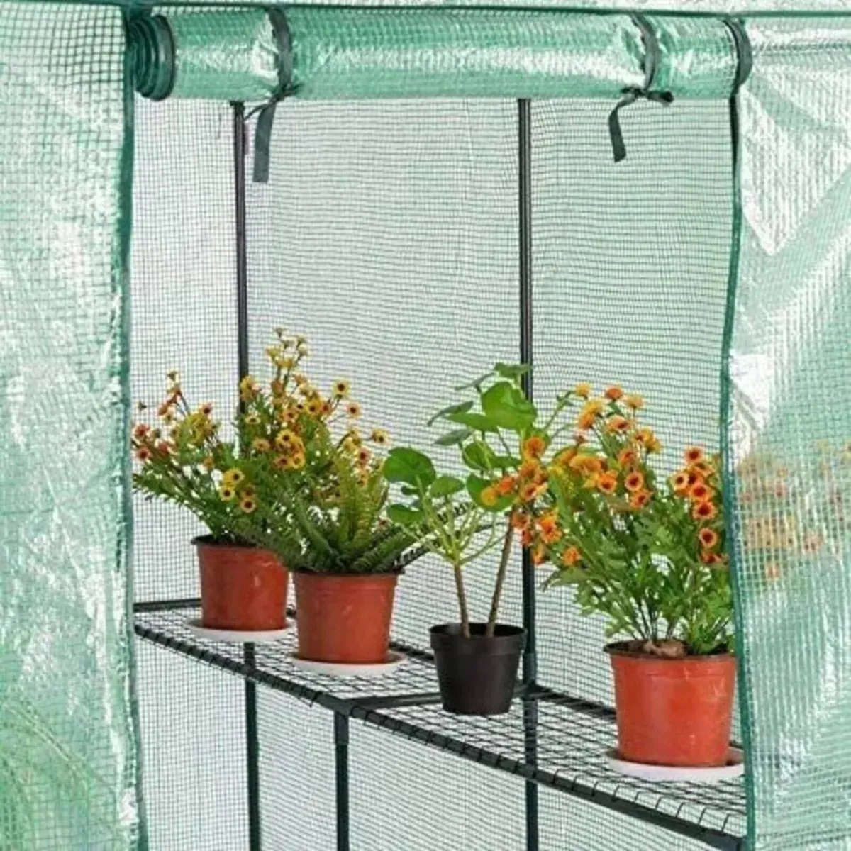 Greenhouse for Tomato Plants – Durable Outdoor - Image 2