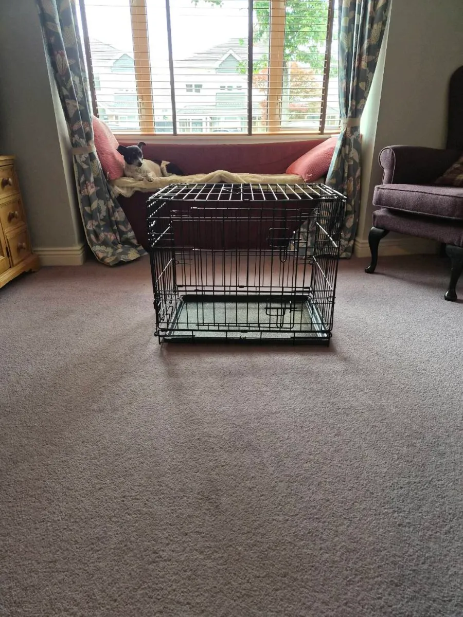 Dog Crate Small