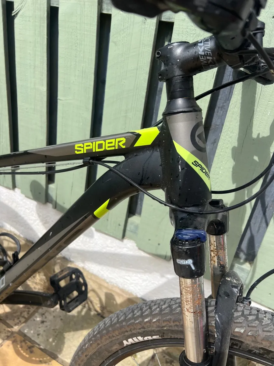 Bicycle - Image 2