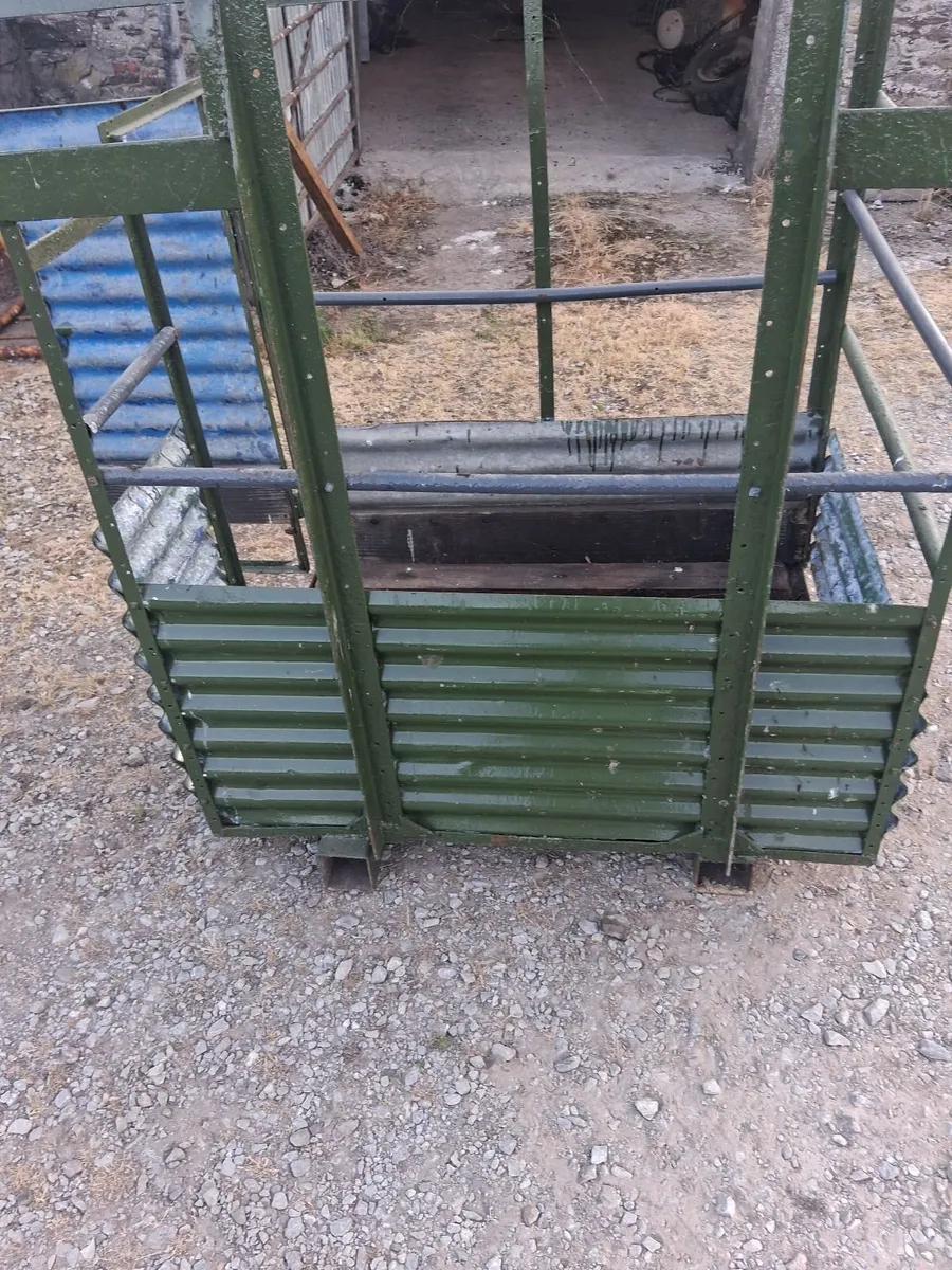 Safety cage - Image 1