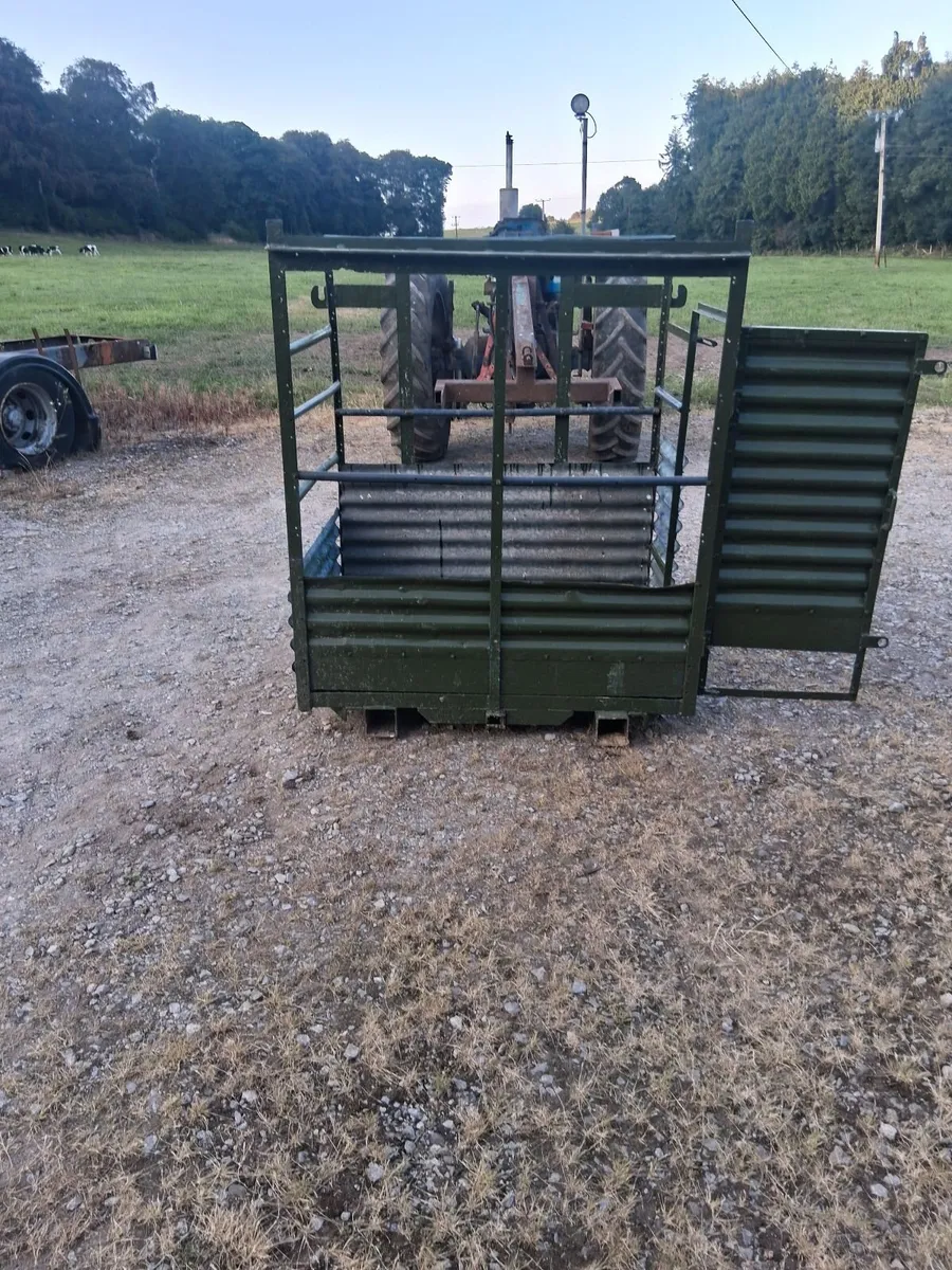 Safety cage - Image 3