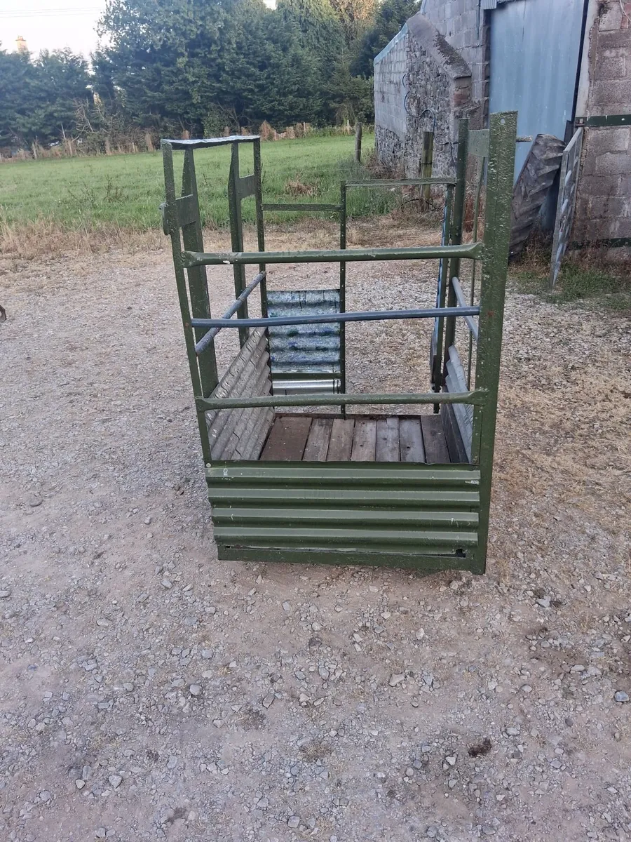 Safety cage - Image 4