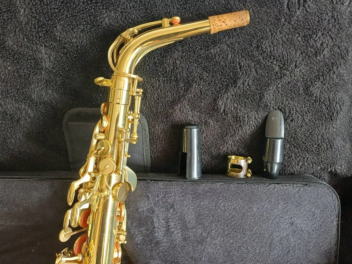 Alto Saxophone never used - Image 4