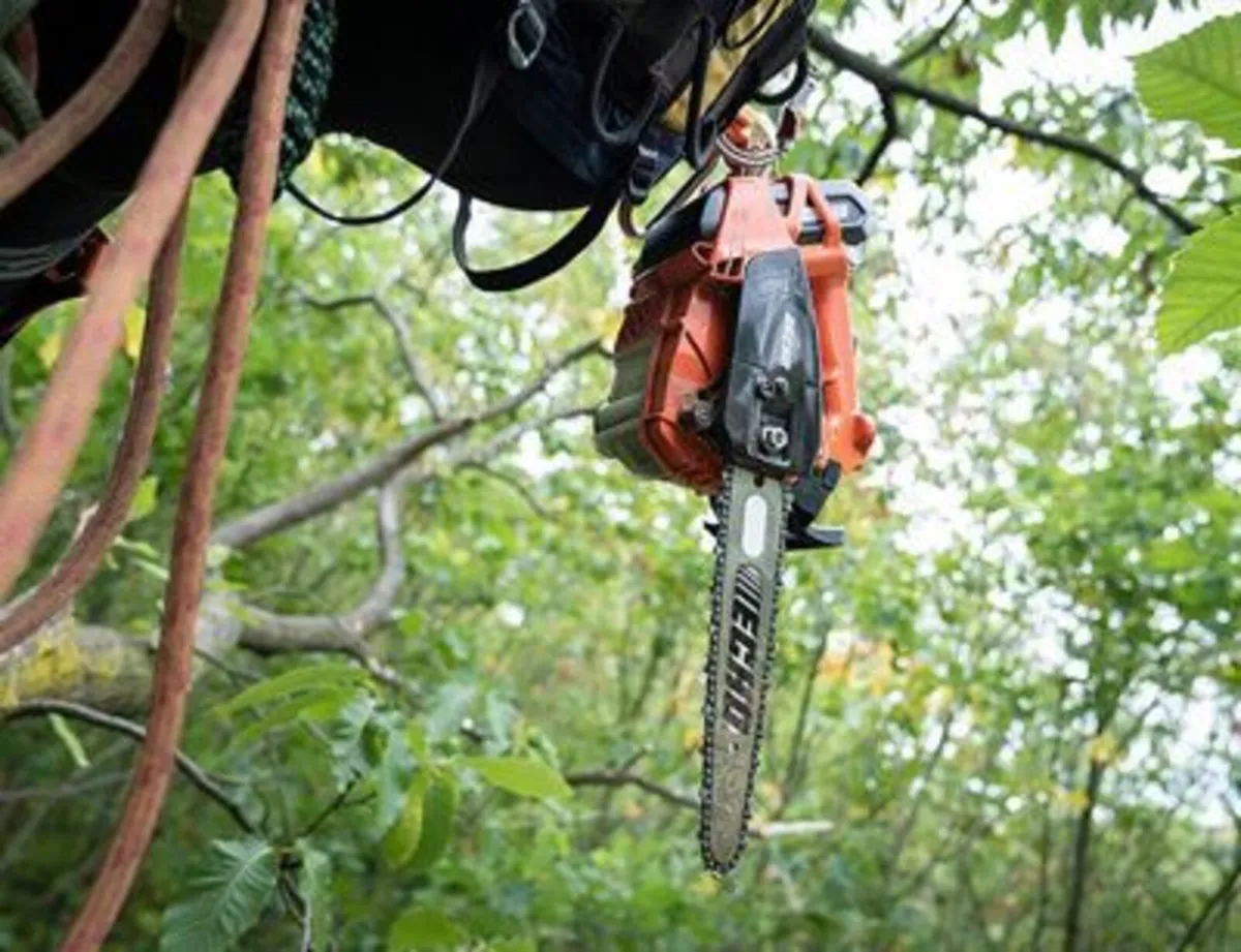 Echo DCS-2500T Top Handle Battery Chainsaw - Image 3
