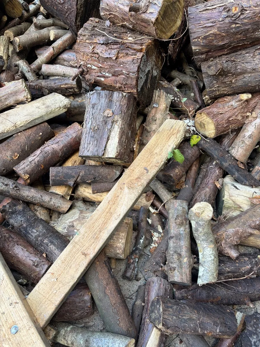 Fire wood - Image 1