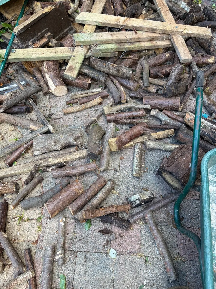 Fire wood - Image 2