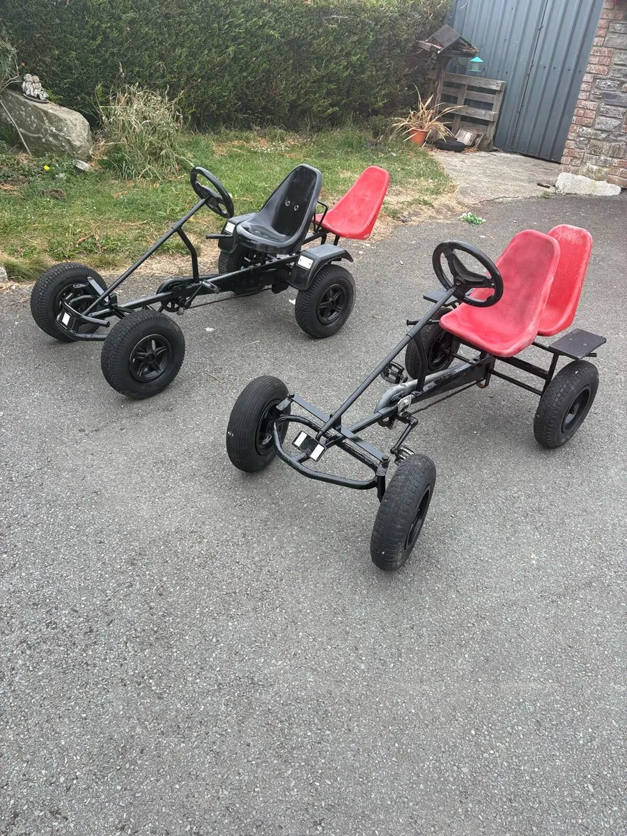 Berg Go Carts - Image 1