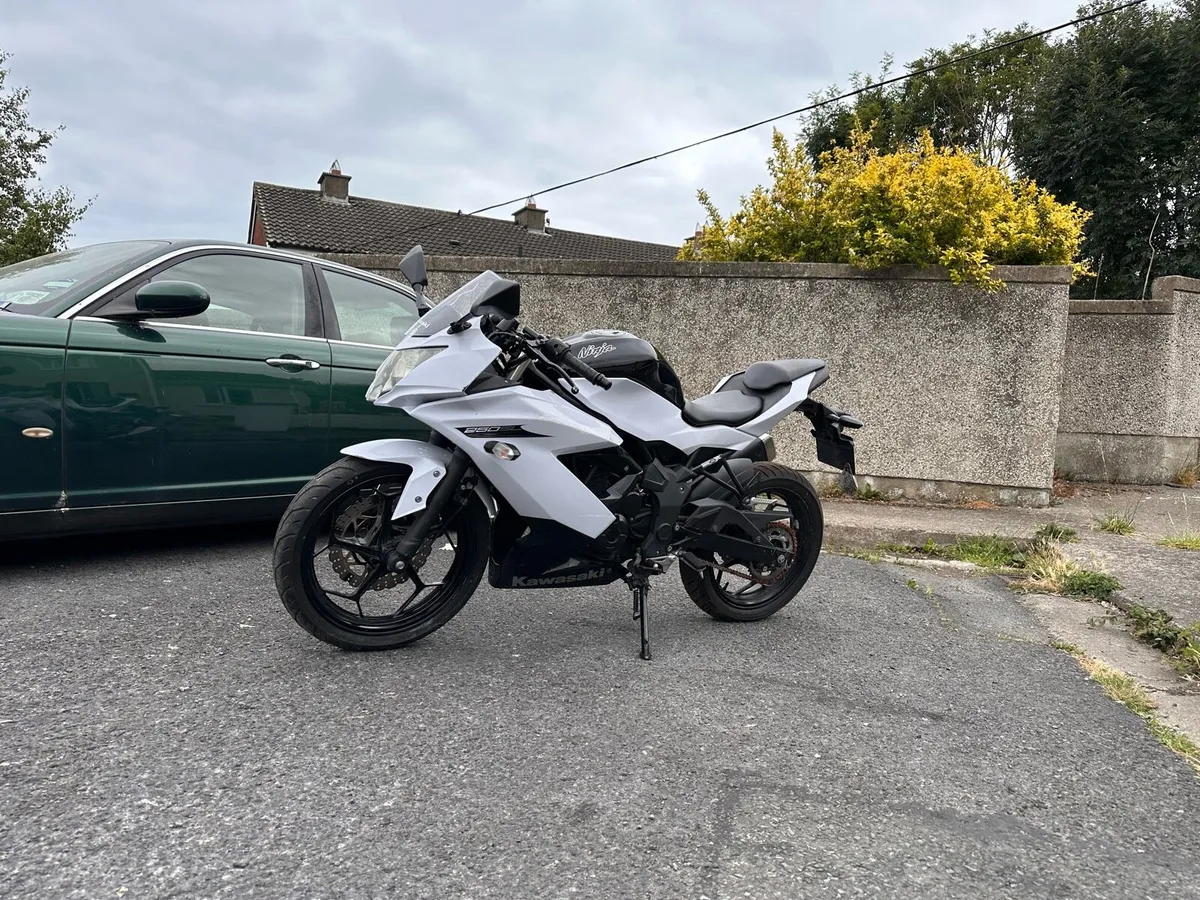2016 Kawasaki Ninja SL 250 - Image 1