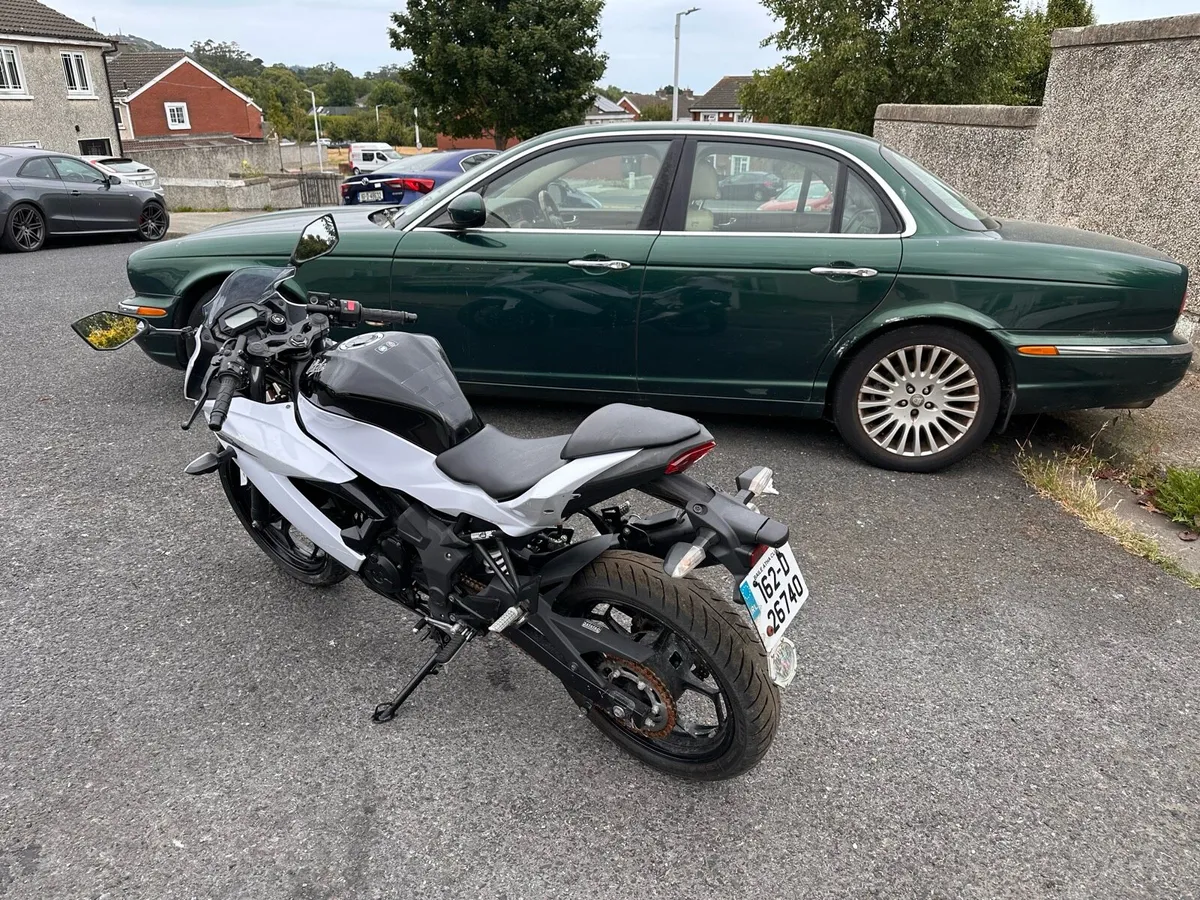 2016 Kawasaki Ninja SL 250 - Image 2